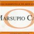 Marsupio Card